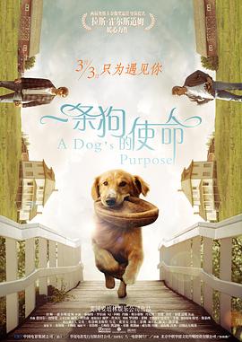 97婷婷狠狠成为人免费视频
