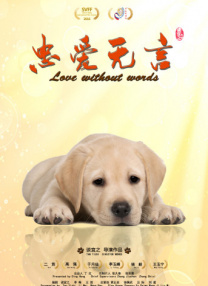 午夜兔费视频